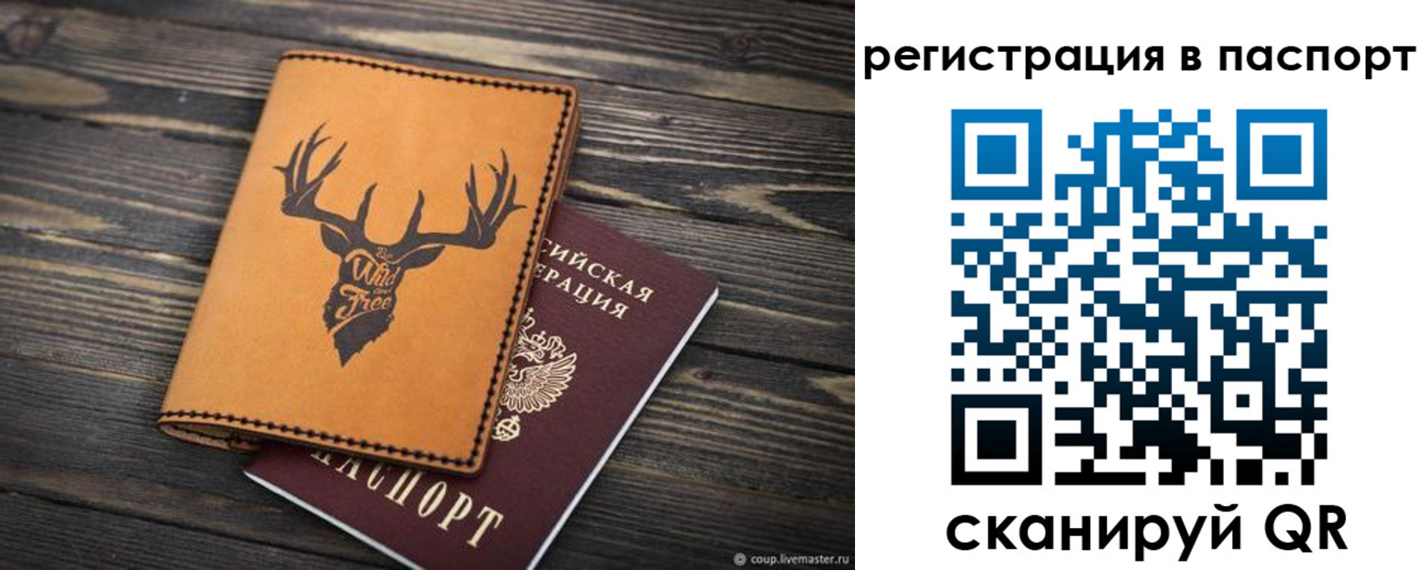 прописка паспорт в Павловске